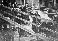 Preparing-for-the-Pantomime-Robinson-Crusoe-at-the-Gaiety-Theatre-in-January-1918-A-Llama-and-small-pony-among-other-animals-being-taken-into-the-theatre.-Queens-Road.